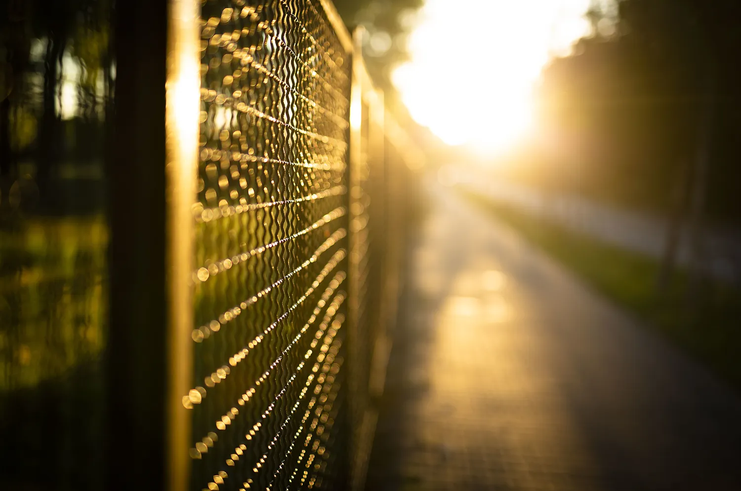 zaunbau Zaunbau Holz Metall